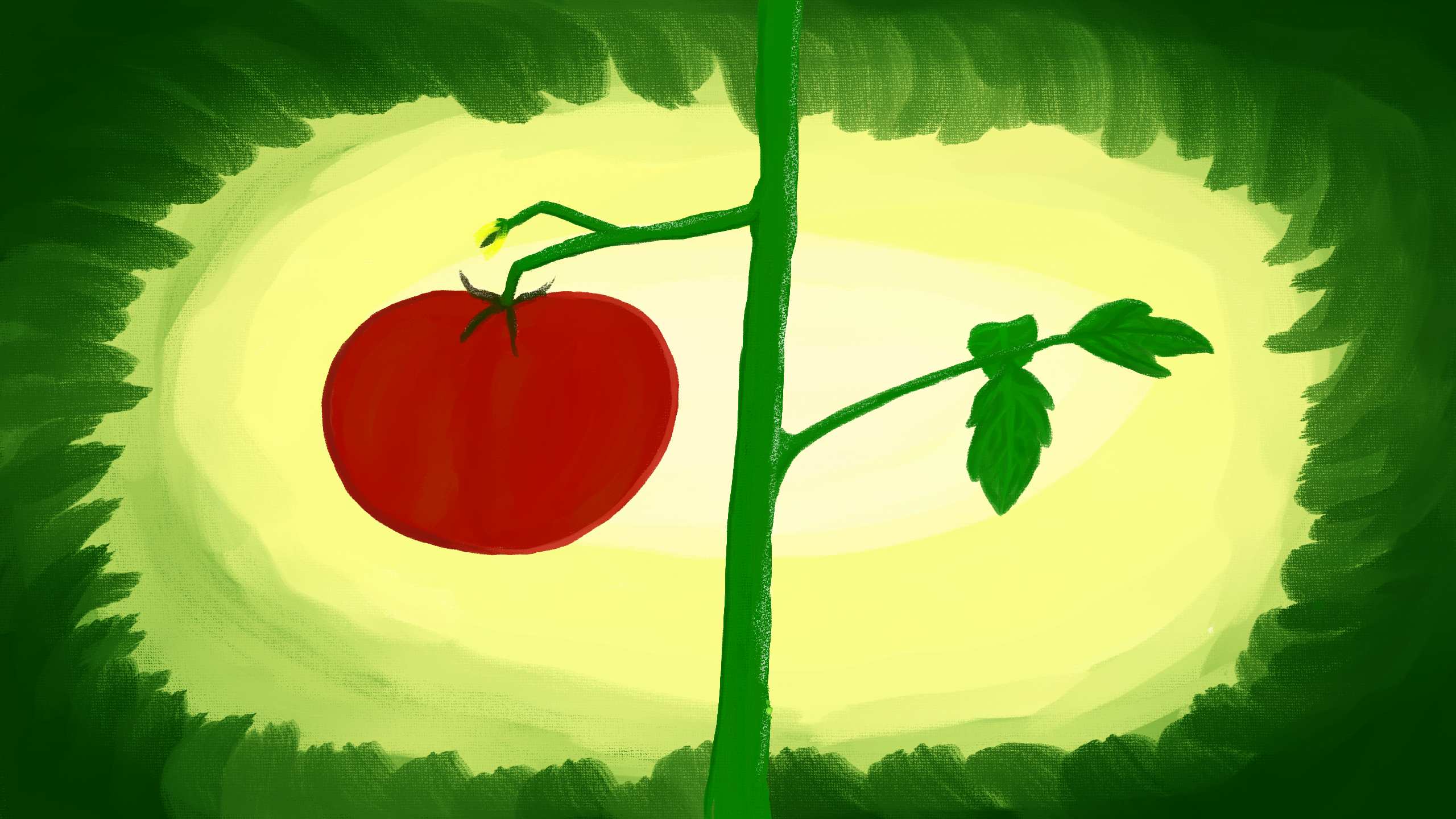 A tomato is attached to a vine in the center of the image. The background is abstract with a green border that fades into yellow then white in the center. It is a digital image that replicates a traditional painting with some canvas texture showing.