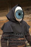 A photo of a hooded rogue, however the face has been replaced with a giant eyeball.