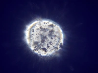 A white halo is in the center ontop of which there is are several unrecognizable globs. They form an interesting corona leading outward from the central halo.