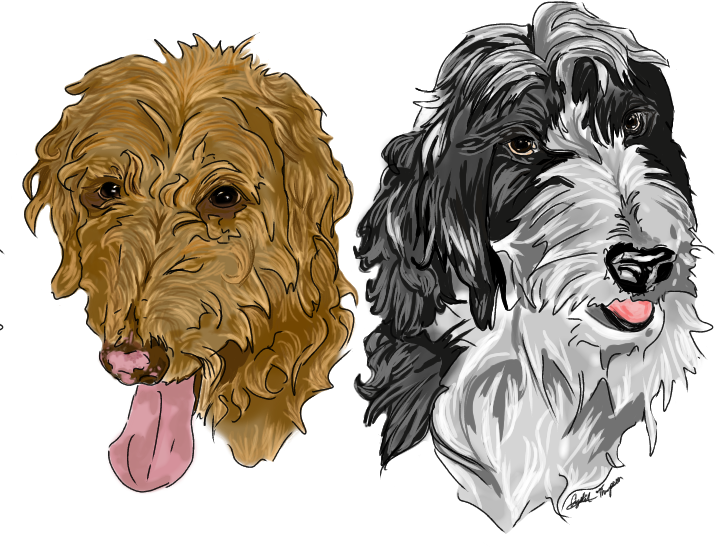 A painting of my dog's busts. Kheldar on left, and Ruka on the right. Kheldar, a brown-gold colored goldendoodle has his mouth open and tongue out. Ruka, a black and white colored bernedoodle look off to the right slightly, mouth only slightly open.